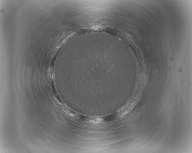 X0000056330576200508261223