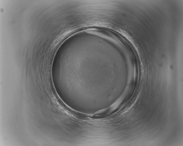 X0000056330577200508261223