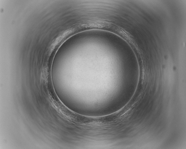 X0000056330578200508261223