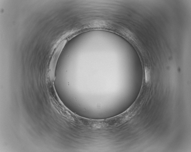 X0000056330579200508261223