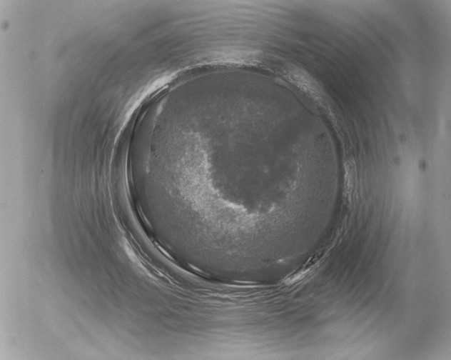 X0000056330580200508261223