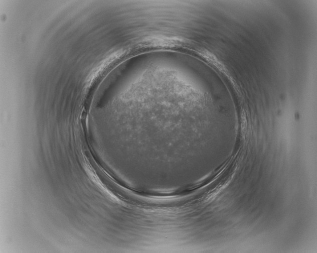 X0000056330581200508261223