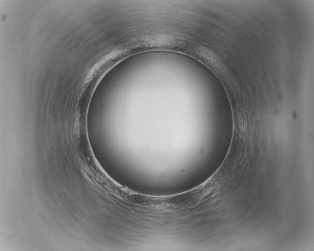 X0000056330583200508261223