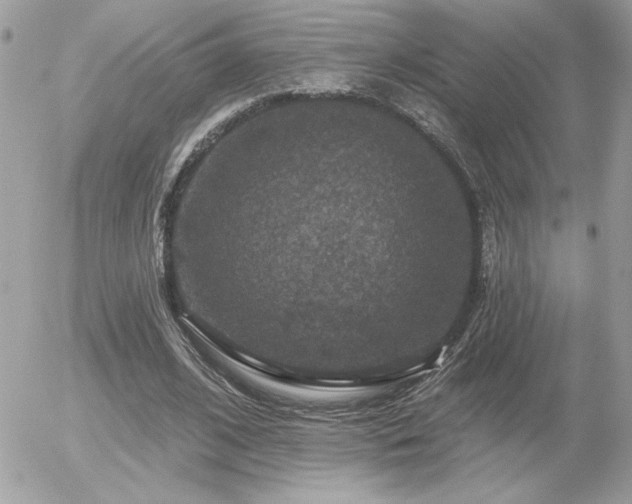 X0000056330584200508261223