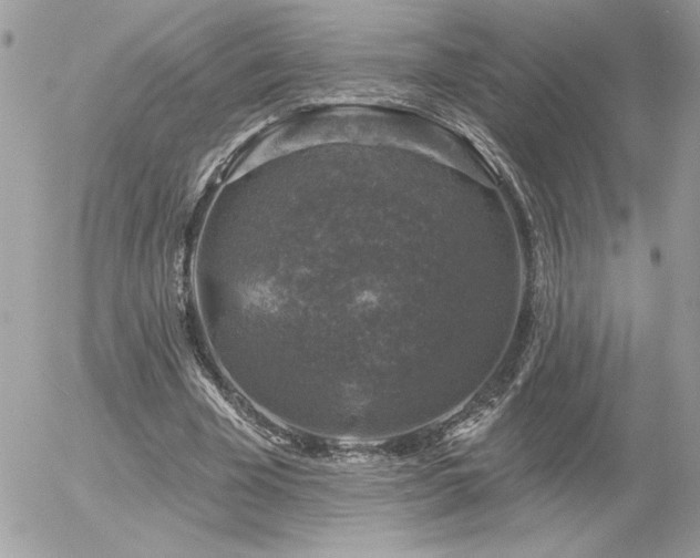 X0000056330585200508261223