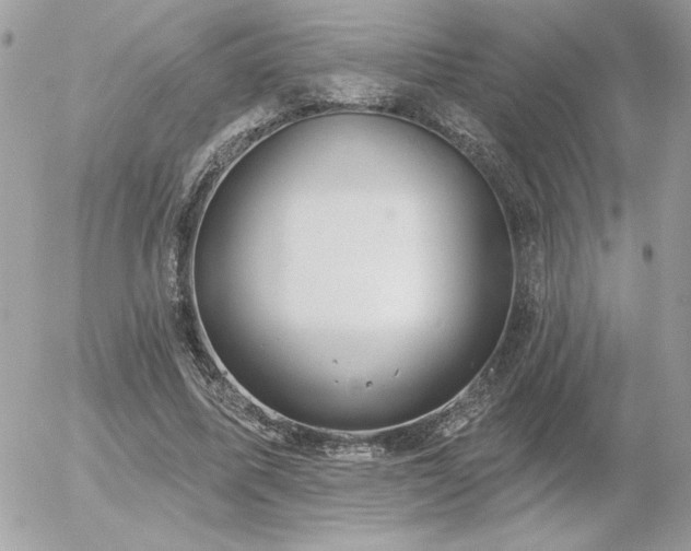 X0000056330587200508261223