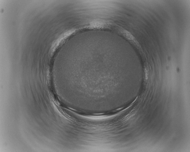 X0000056330588200508261222