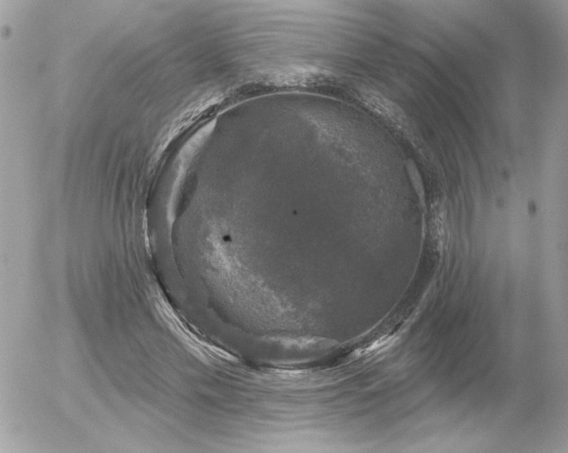 X0000056330589200508261222