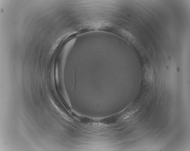 X0000056330590200508261222