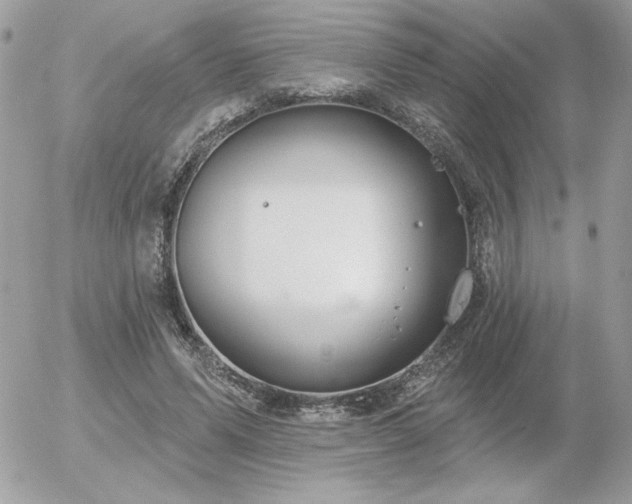 X0000056330591200508261222