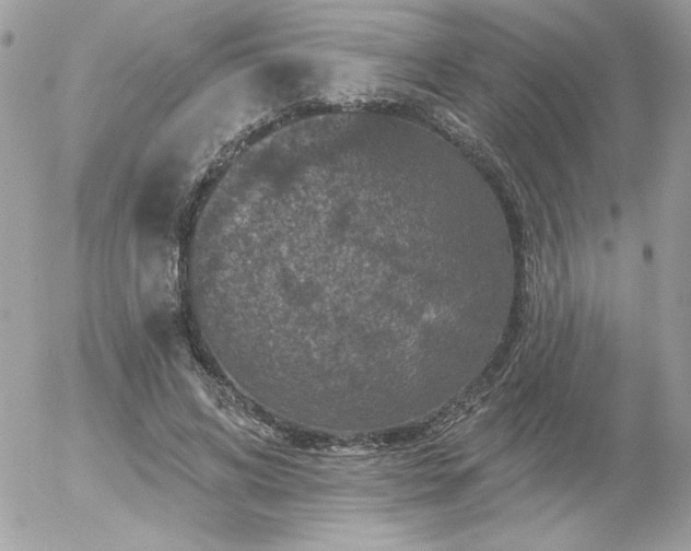 X0000056330592200508261222