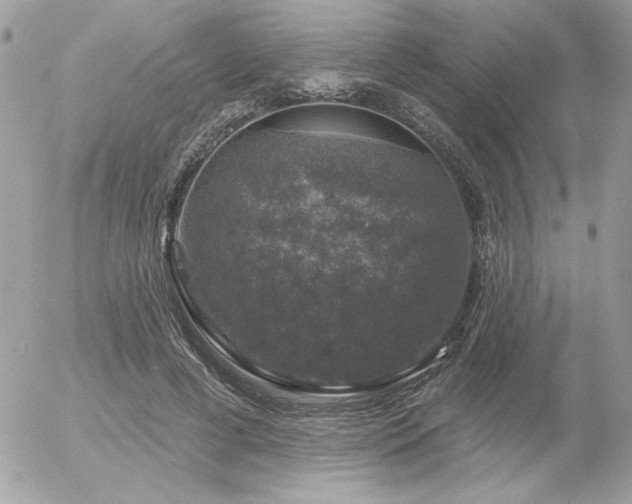 X0000056330593200508261222