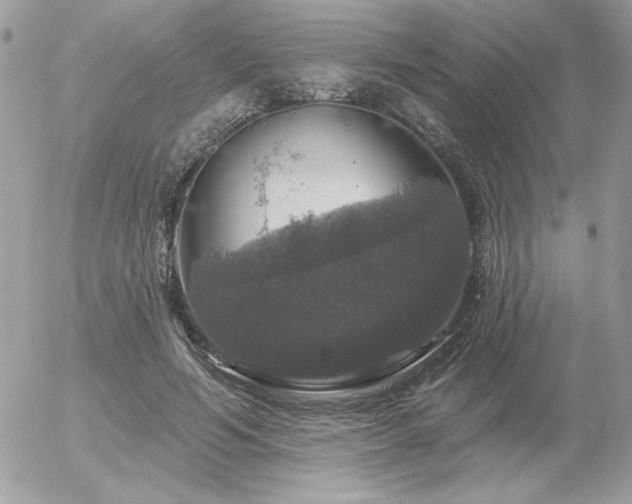 X0000056330594200508261222