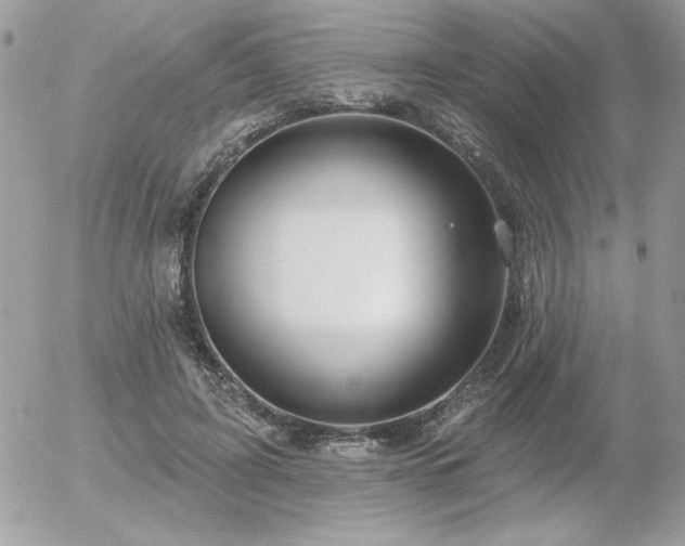 X0000056330595200508261222