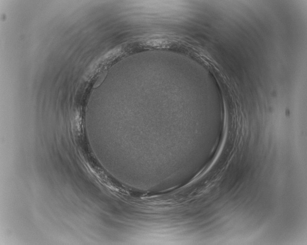 X0000056330597200508261222