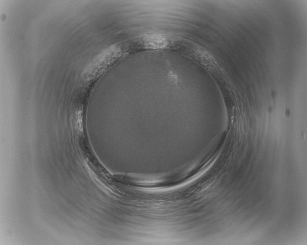 X0000056330598200508261222