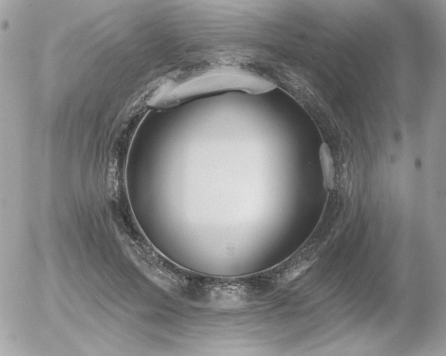 X0000056330599200508261222