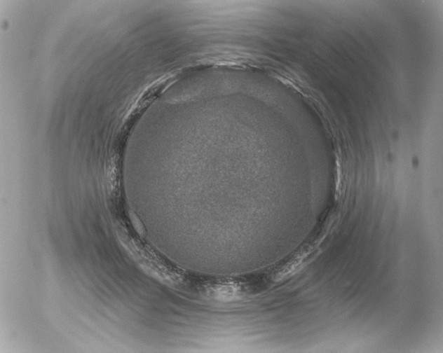 X0000056330600200508261222