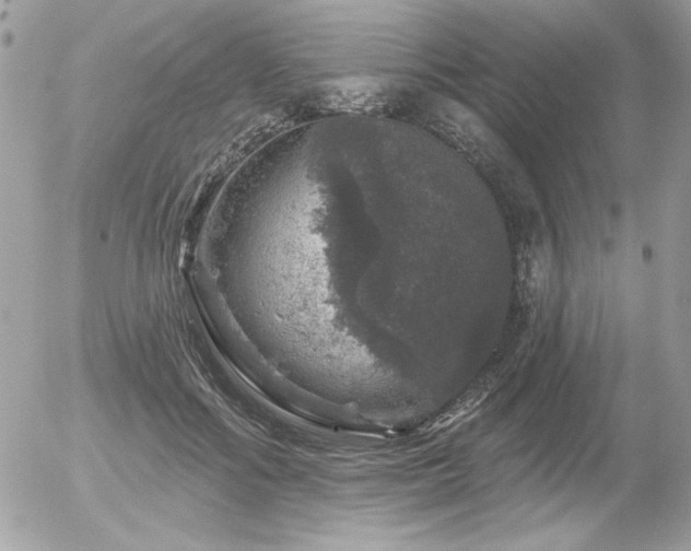 X0000056330602200508261222