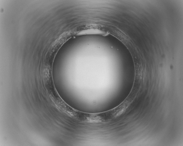 X0000056330603200508261222