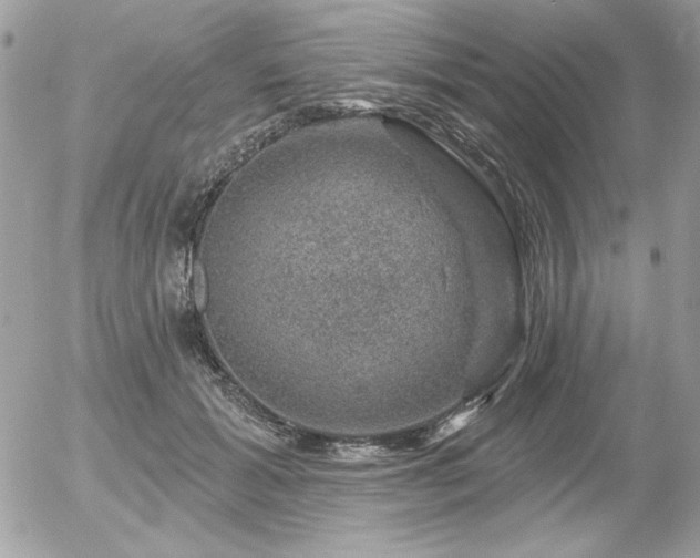 X0000056330605200508261222