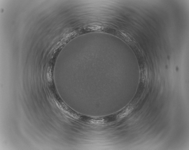 X0000056330606200508261222