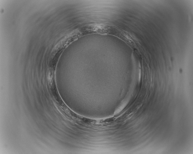 X0000056330607200508261222