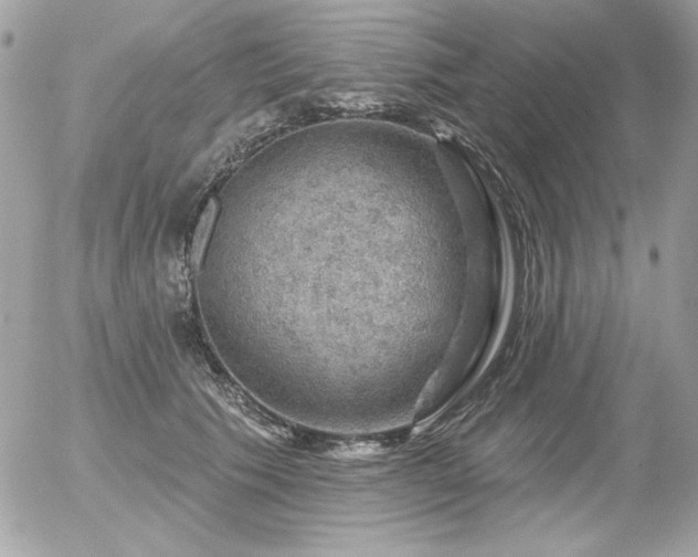 X0000056330609200508261222