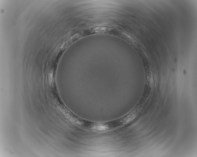 X0000056330610200508261222