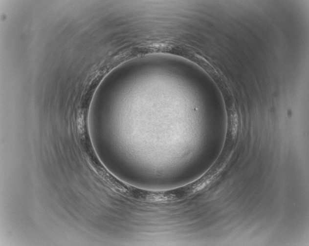 X0000056330613200508261222