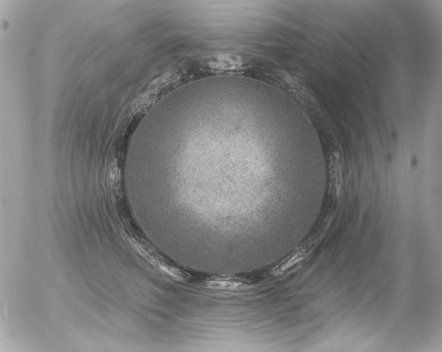 X0000056330614200508261222