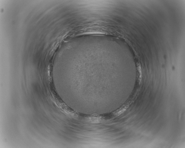 X0000056330615200508261222