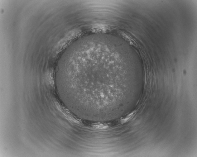 X0000056330616200508261222