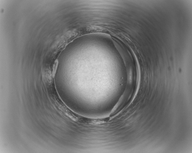 X0000056330617200508261222