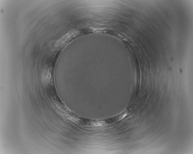 X0000056330618200508261222