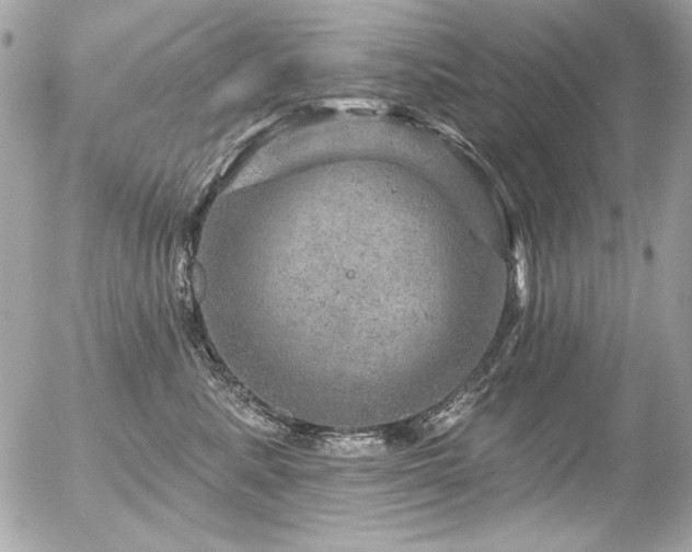 X0000056330619200508261222