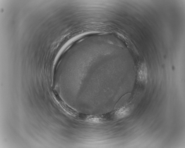 X0000056330620200508261222