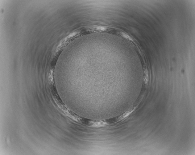 X0000056330621200508261222