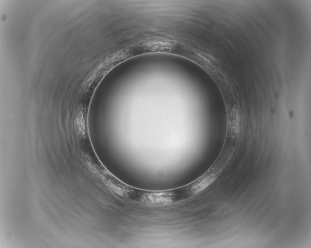 X0000056330622200508261222