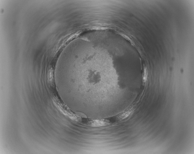 X0000056330623200508261222