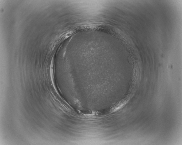 X0000056330624200508261222