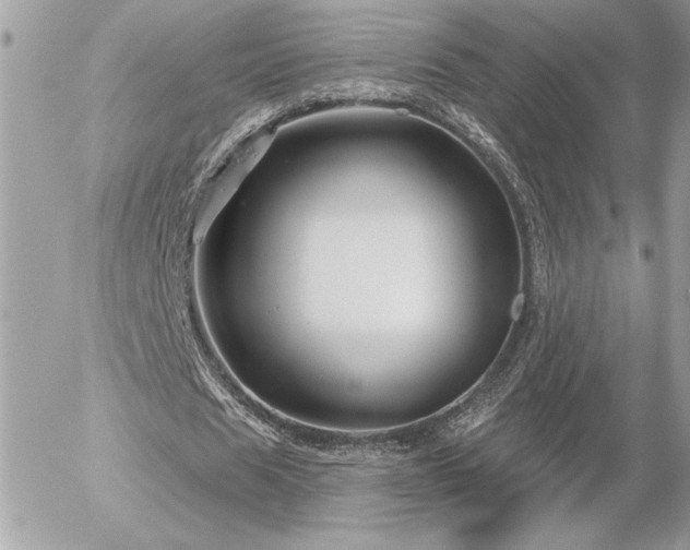 X0000056330625200508261221