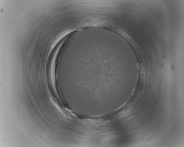 X0000056330626200508261221