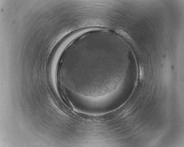 X0000056330627200508261221