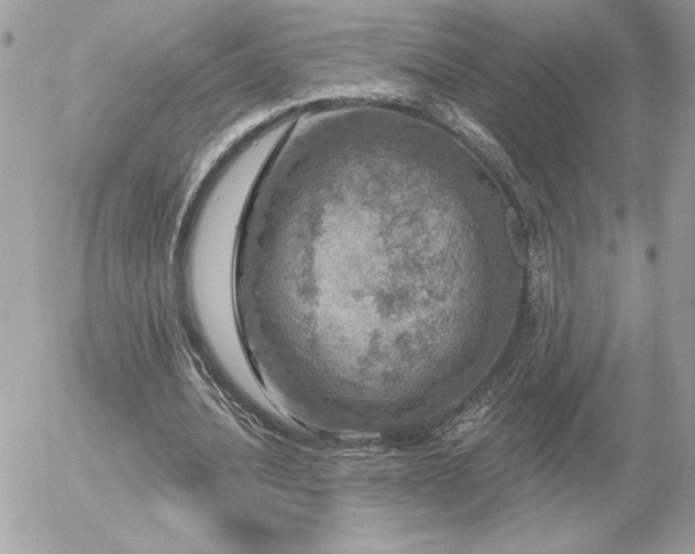 X0000056330628200508261221