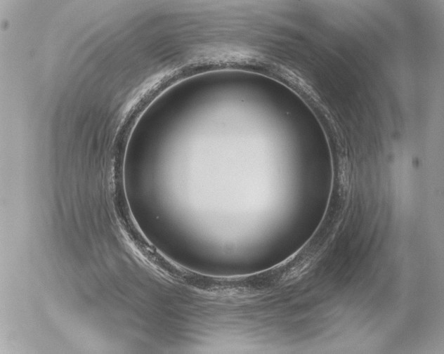 X0000056330629200508261221