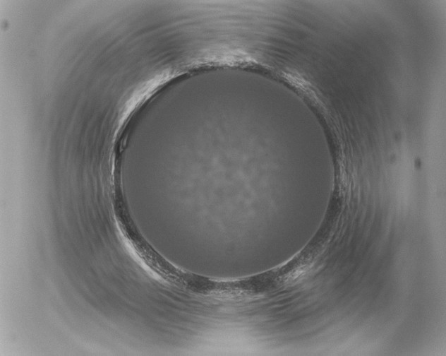 X0000056330630200508261221