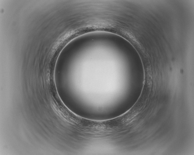 X0000056330631200508261221