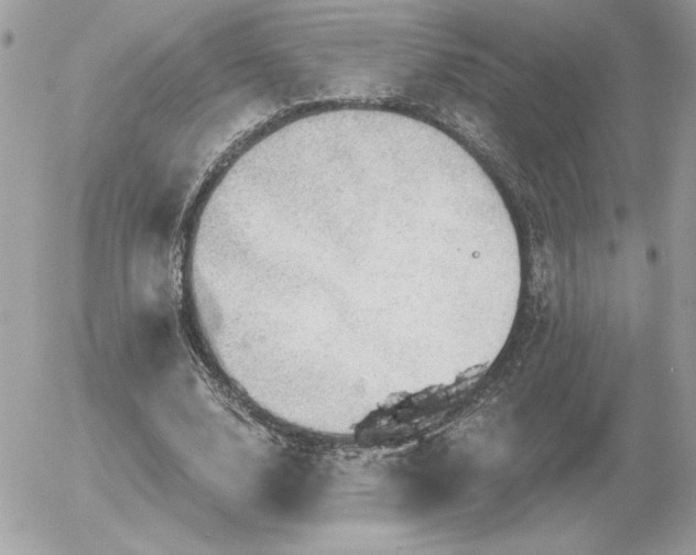 X0000056330632200508261221