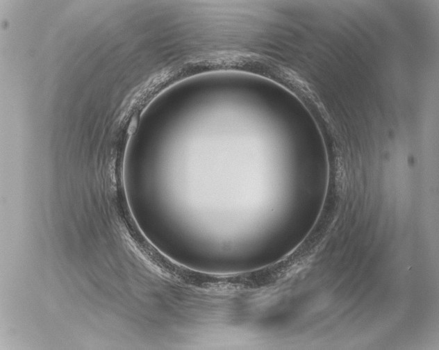 X0000056330633200508261221